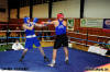 box turnaj 2011