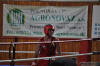 Medzinarodny turnaj v boxe Nove Mesto nad Vahom 2010