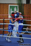Medzinarodny turnaj v boxe Nove Mesto nad Vahom 2010