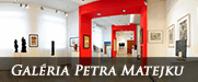 galeria petra matejku nove mesto nad vahom