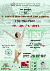 Novomestsk� poh�r v krasokor�u�ovan� 2013 Nov� Mesto nad V�hom