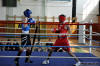 Medzinarodny turnaj v boxe Nove Mesto nad Vahom 2010