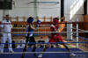 Medzinarodny turnaj v boxe Nove Mesto nad Vahom 2010