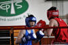 Medzinarodny turnaj v boxe Nove Mesto nad Vahom 2010