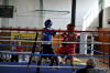 Medzinarodny turnaj v boxe Nove Mesto nad Vahom 2010