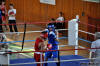 Medzinarodny turnaj v boxe Nove Mesto nad Vahom 2010