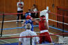 Medzinarodny turnaj v boxe Nove Mesto nad Vahom 2010
