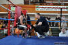 Medzinarodny turnaj v boxe Nove Mesto nad Vahom 2010