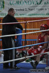 Medzinarodny turnaj v boxe Nove Mesto nad Vahom 2010