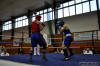 Medzinarodny turnaj v boxe Nove Mesto nad Vahom 2010