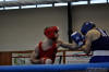 Medzinarodny turnaj v boxe Nove Mesto nad Vahom 2010