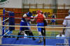 Medzinarodny turnaj v boxe Nove Mesto nad Vahom 2010