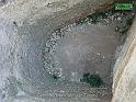 DSC06317