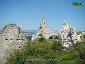 DSC06351