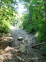 DSC06450