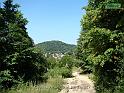 DSC06453