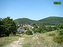DSC06455