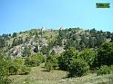 DSC06464